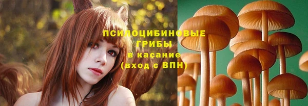 mdma Козельск